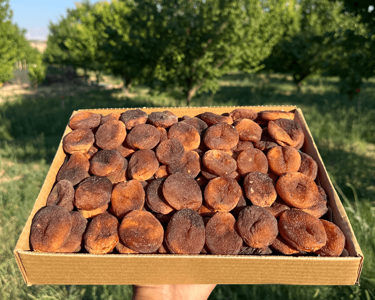Gün Kurusu Kayısı
