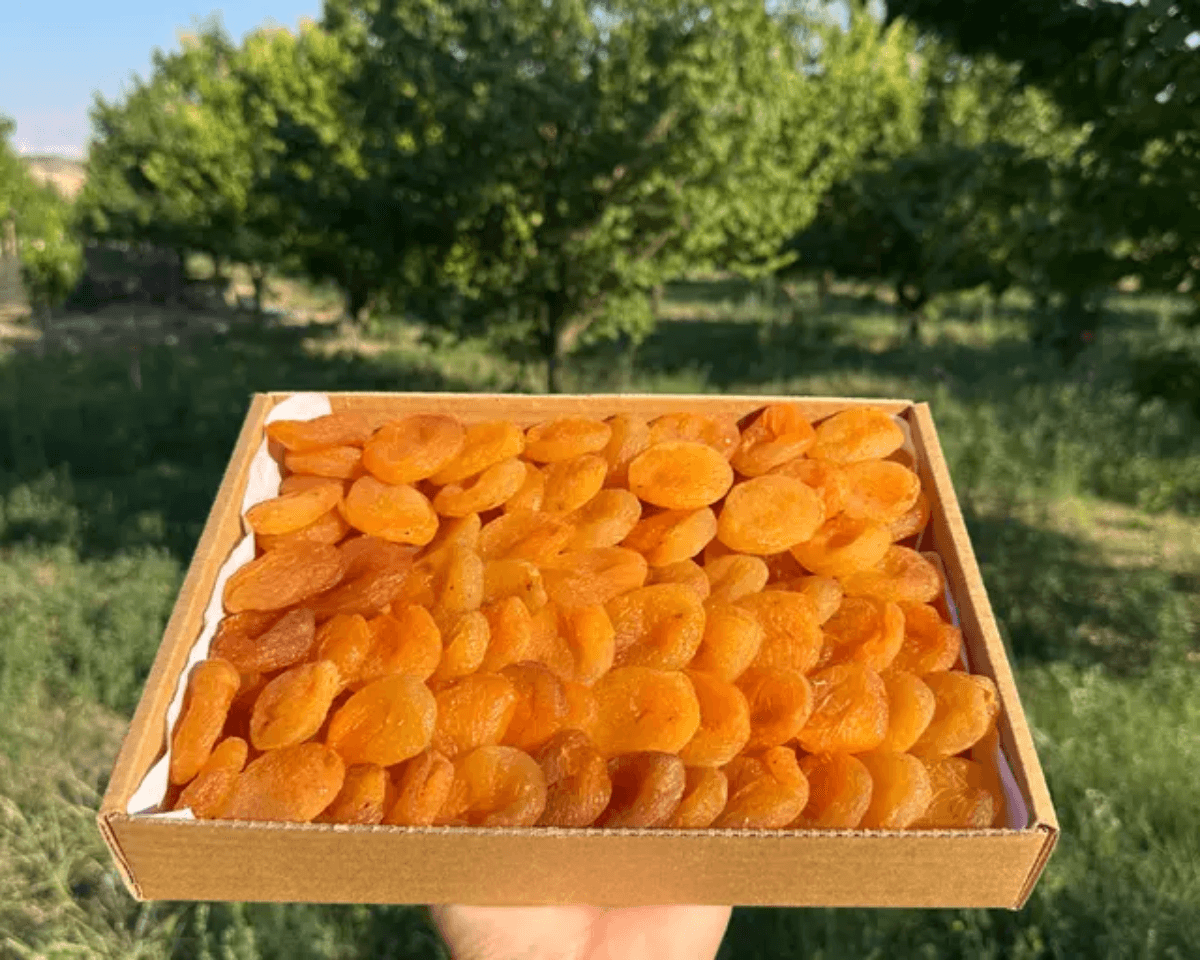 Sarı Kuru Kayısı